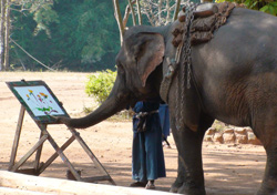 Слон - художник